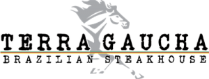 Terra Gaucha Enterprise Support logo