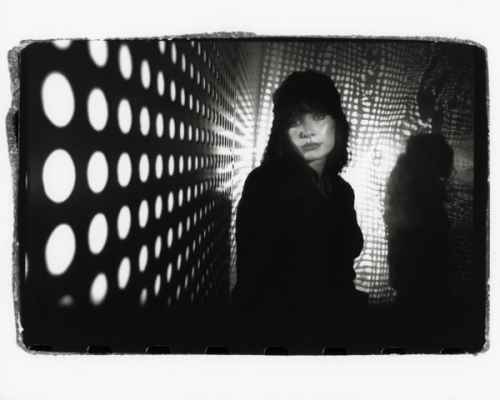 Beneath the Lilypad, Image 1