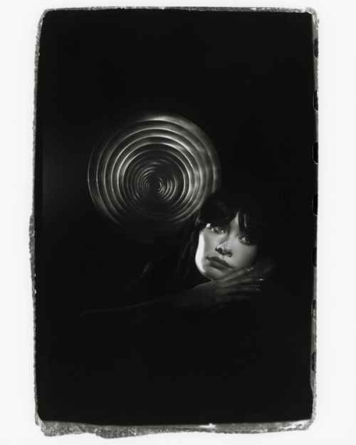 Beneath the Lilypad, Image 1