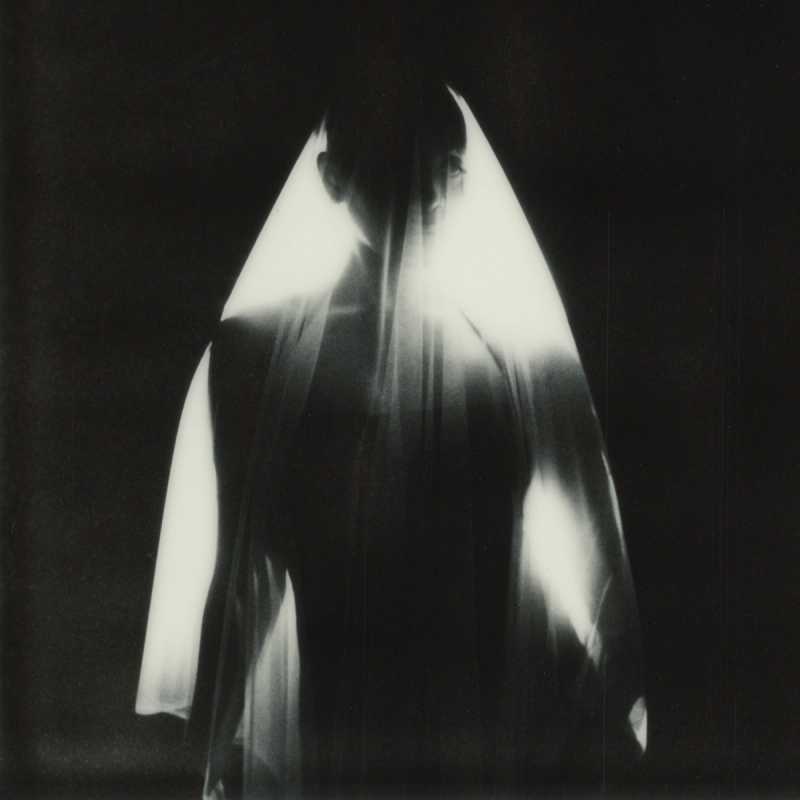 Fana Hues, Moth (2024)