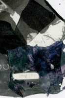 Angela Ricciardi Image