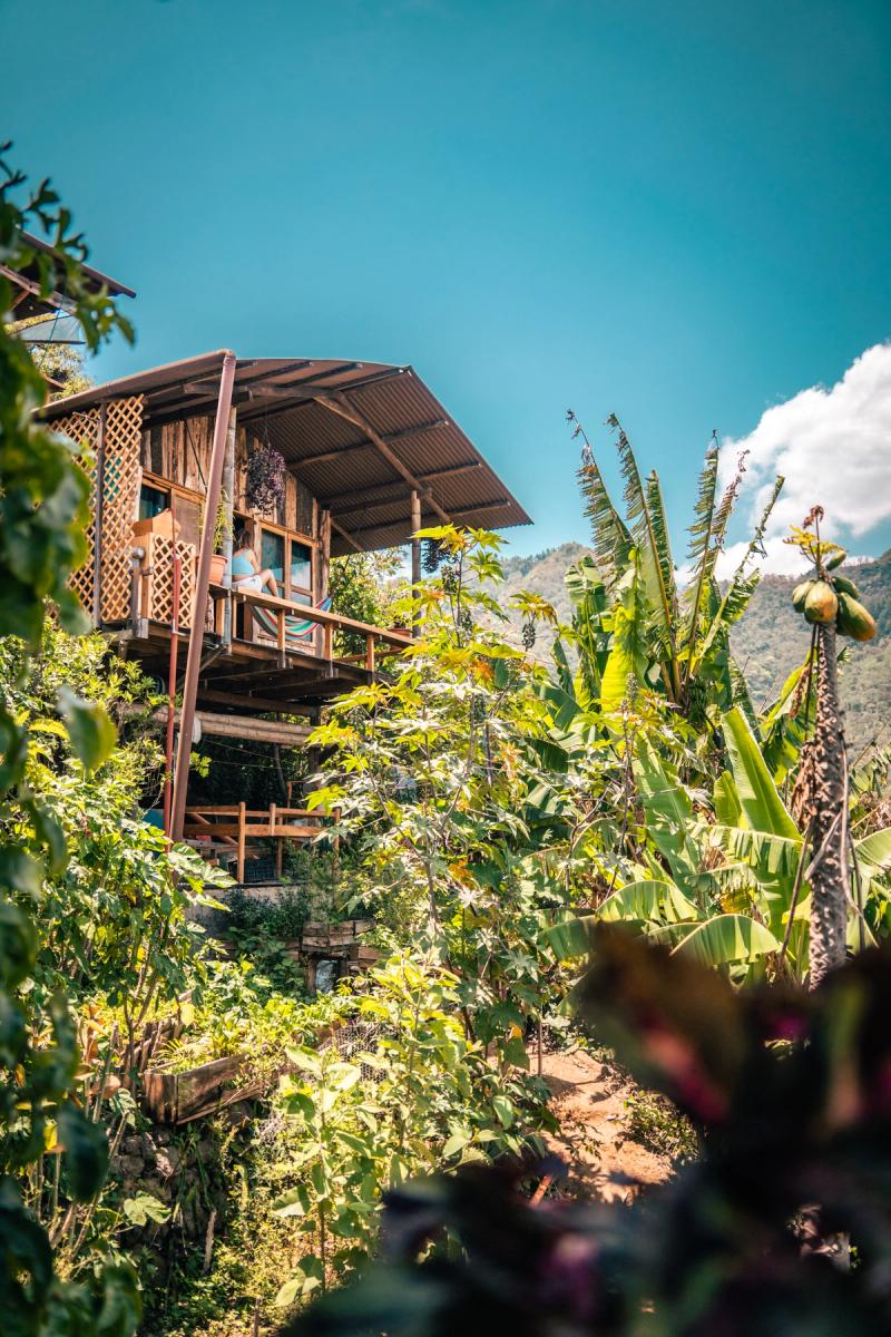 Raised wooden cabin surrounded by banana trees, tents area neighbour