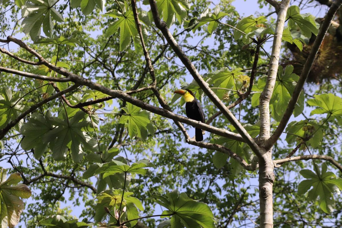 Hiking in Guatemala