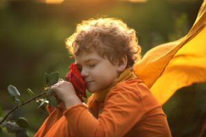 the symbol of the rose in the little prince