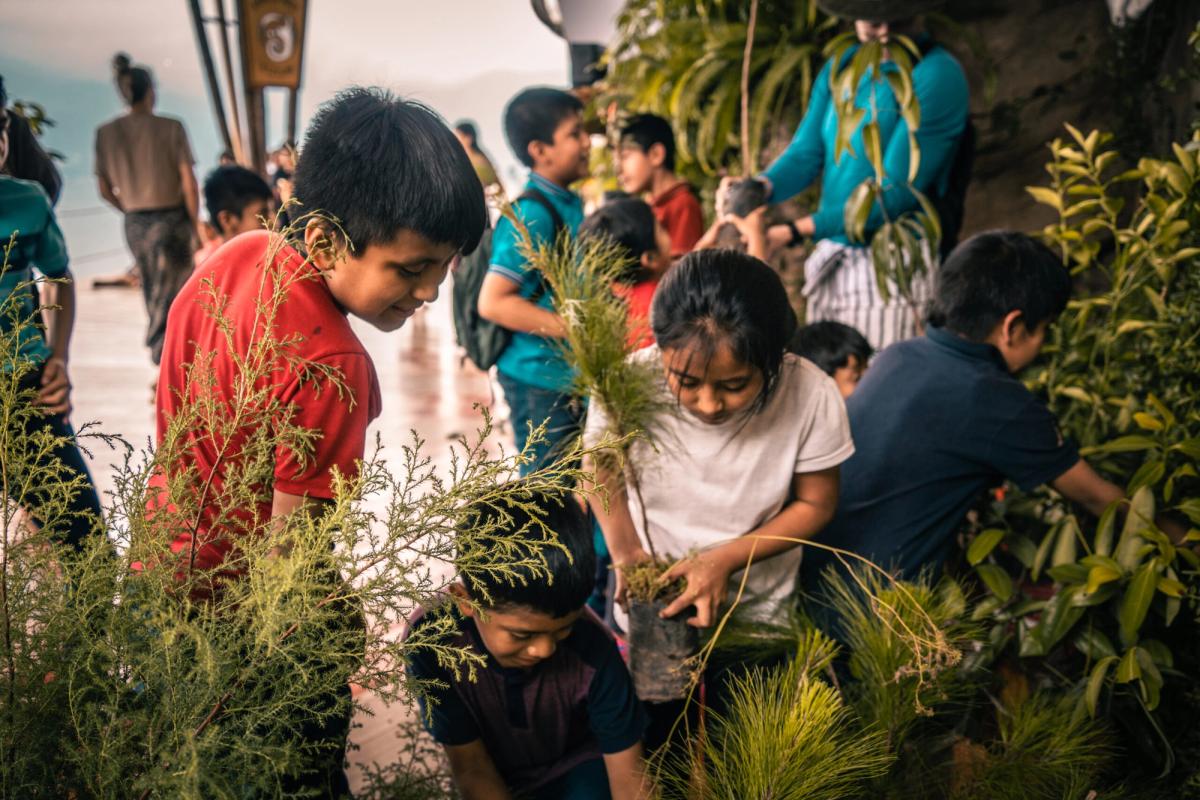 Mayan Tree Planting Ceremony