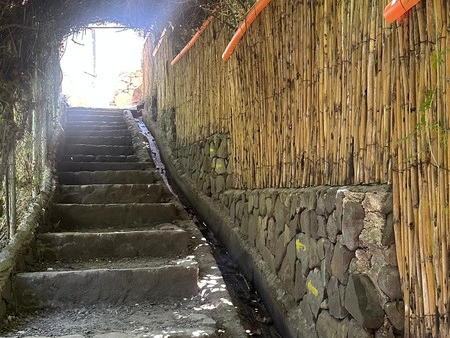 Steintreppe zwischen Bambuswänden, die hinauf zum Adlernest führt
