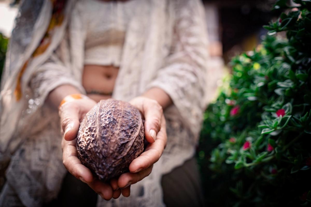 Cacao bean