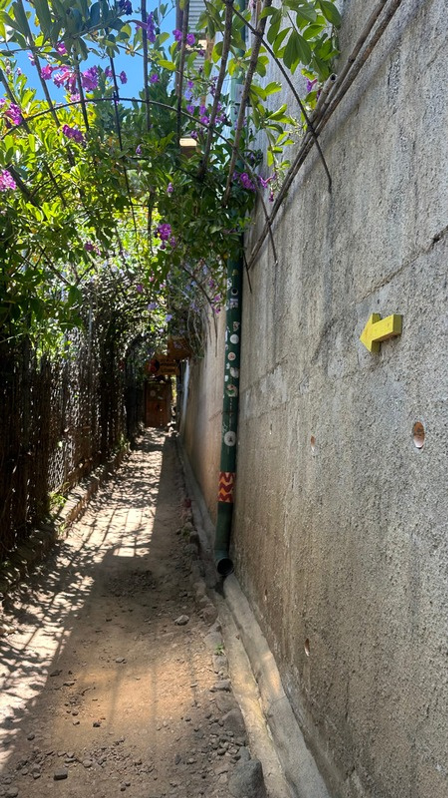 Ein gelb gestrichener Pfeil an einer Wand in der mit Blumen bewachsenen Gasse, die zum Adlerhorst führt