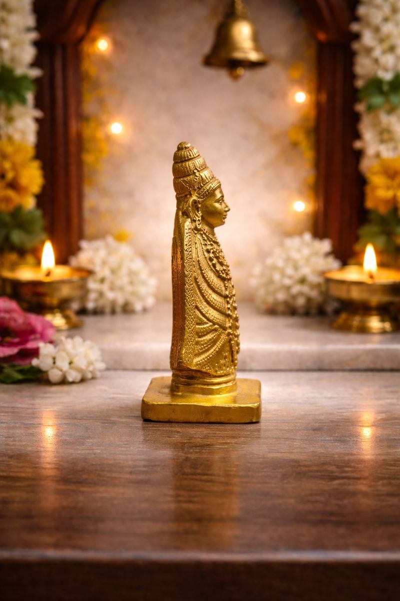 Divine Tulja Bhavani Idol  4