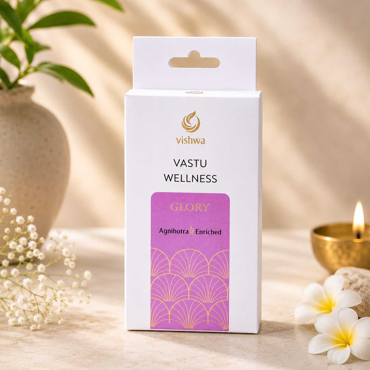 Vastu Wellness Incense Cones - Glory  4