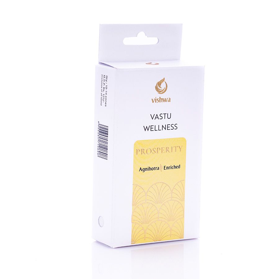 Vastu Wellness Incense Cones - prosperity  2