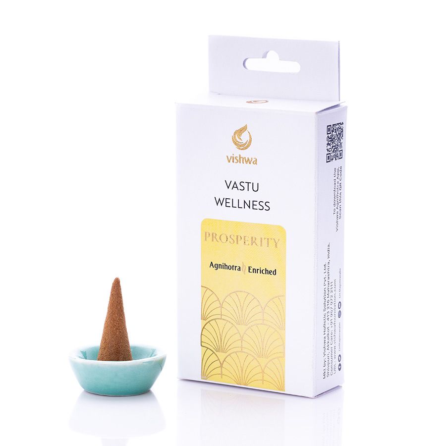 Vastu Wellness Incense Cones - prosperity 