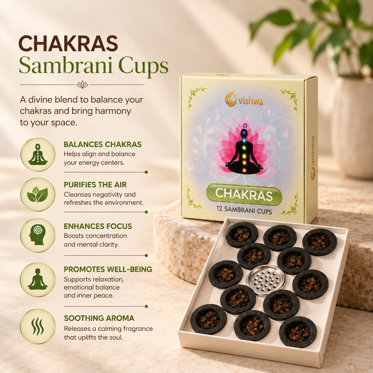 Sambrani Havan Cups- 7 Chakras 5