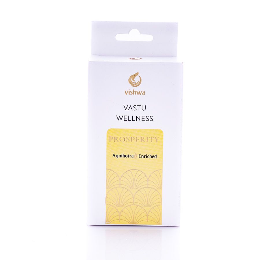 Vastu Wellness Incense Cones - prosperity  4