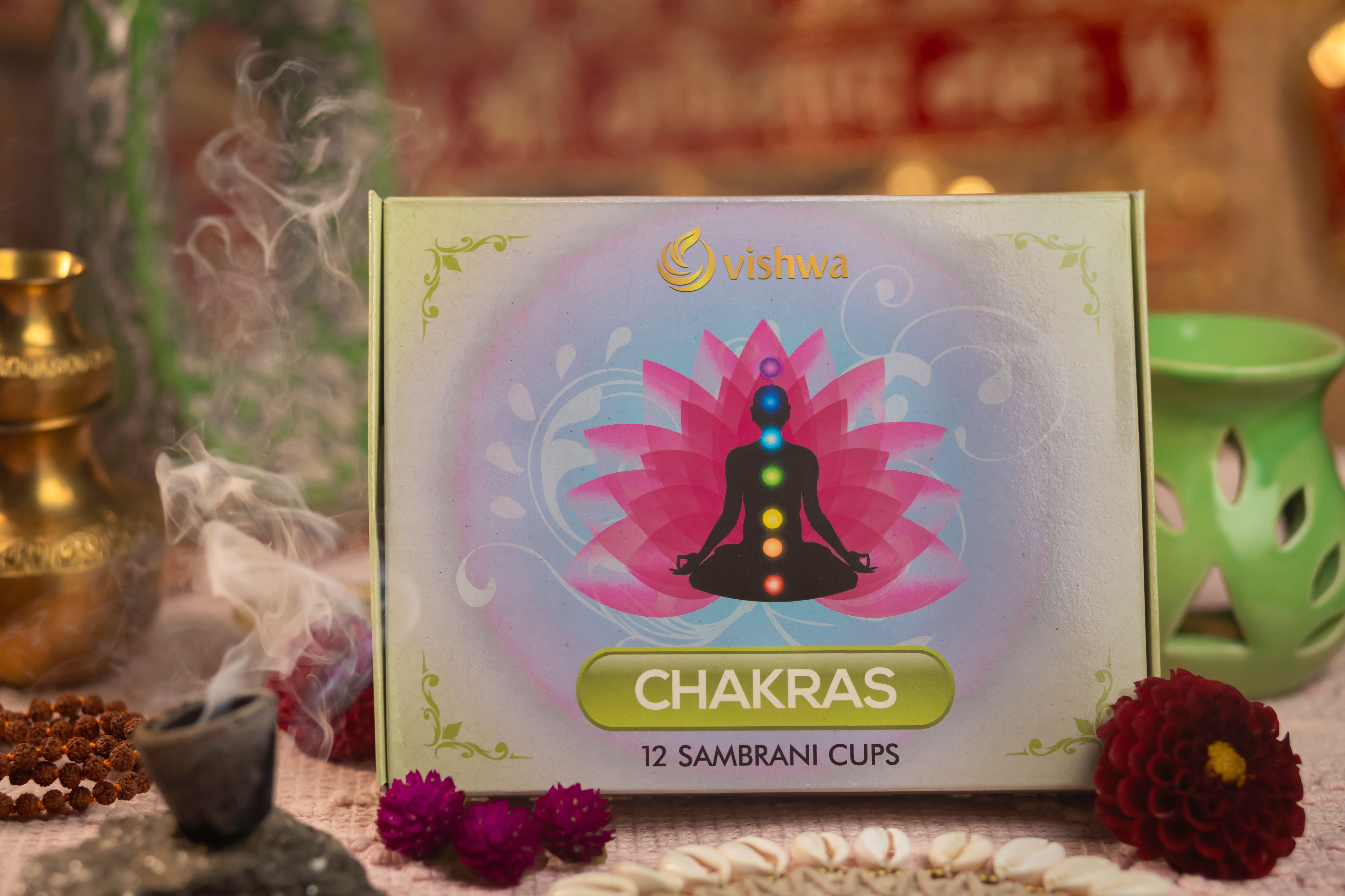 Sambrani Havan Cups- 7 Chakras 3