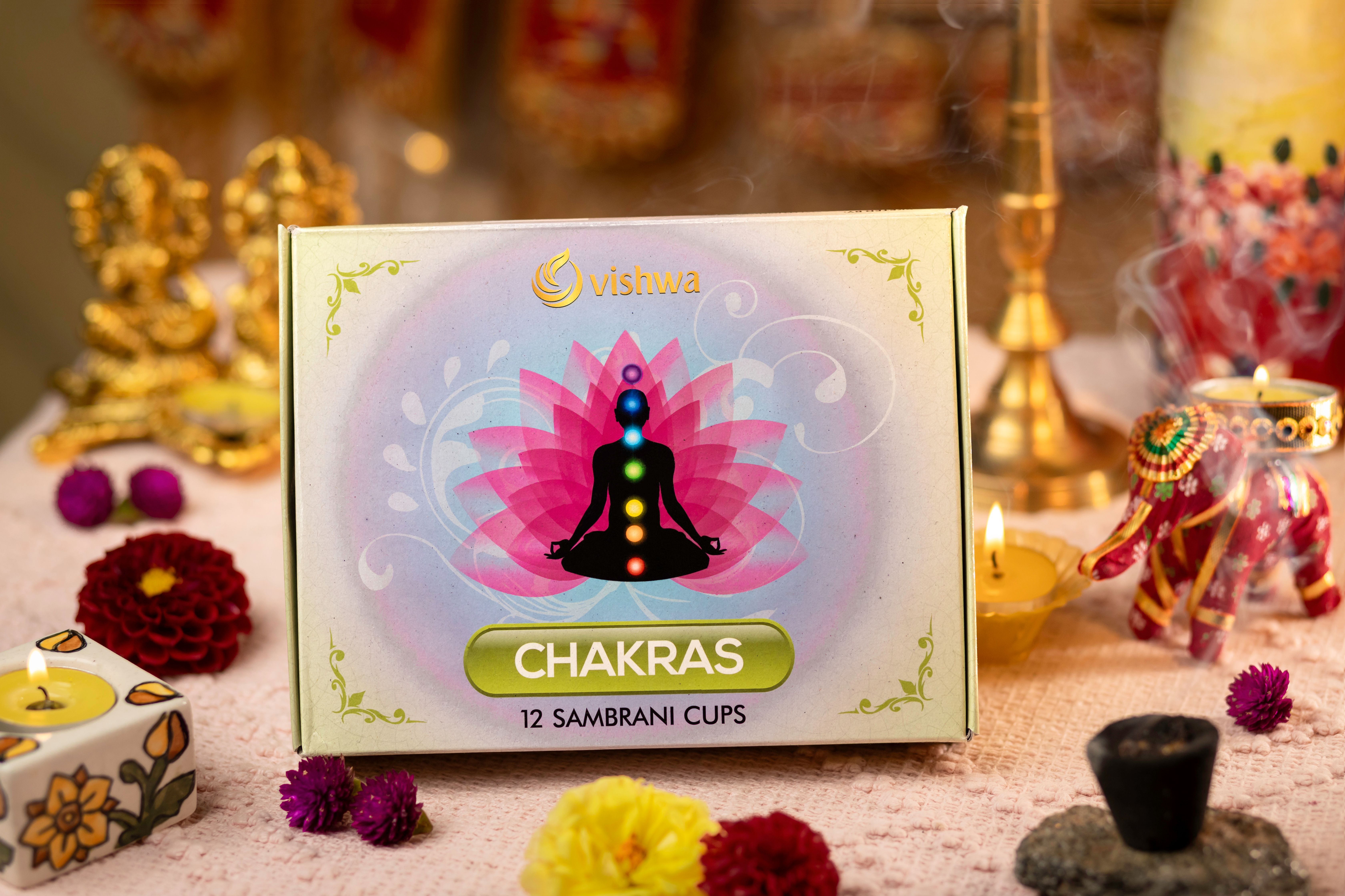 Sambrani Havan Cups- 7 Chakras 2
