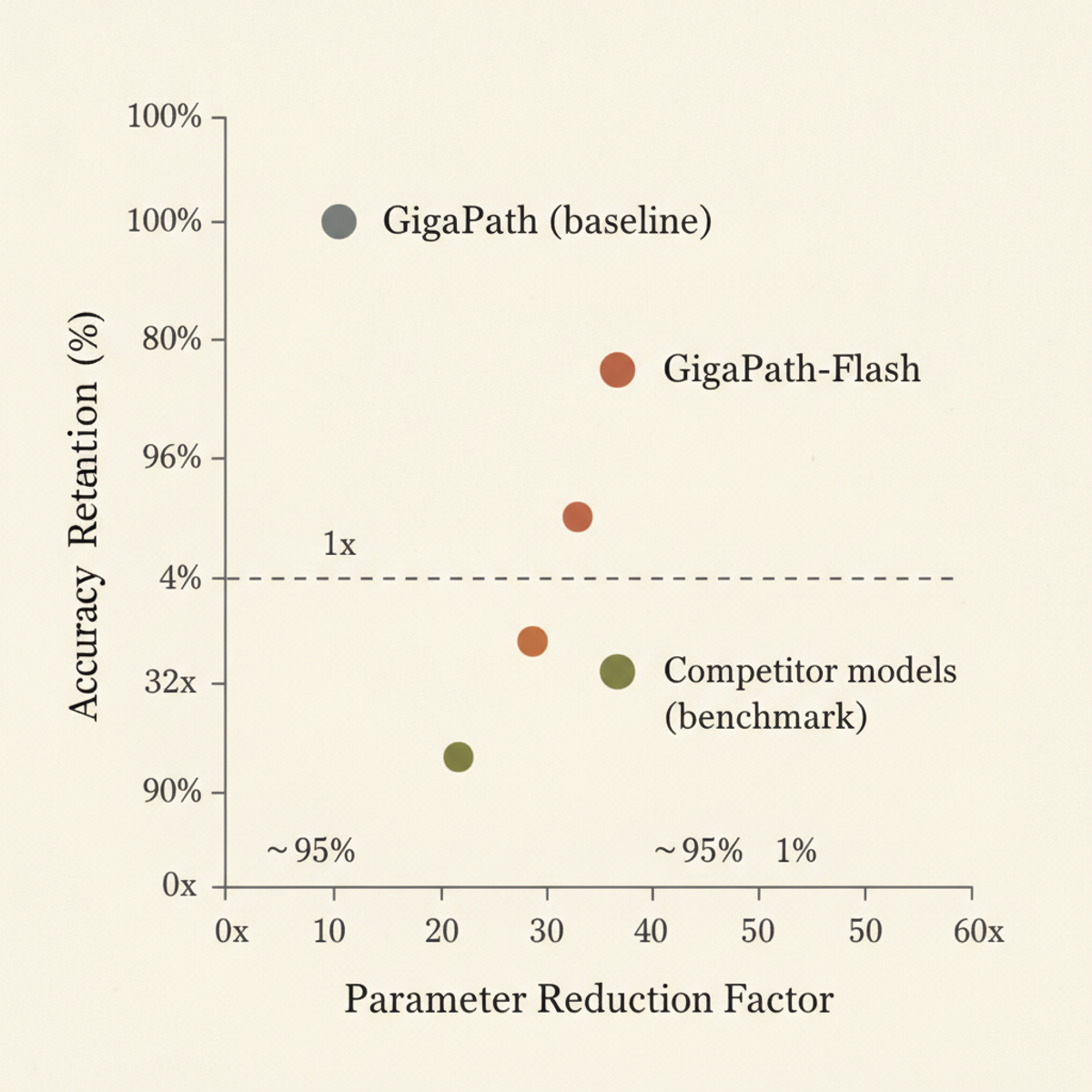 GigaPath-Flash achieves 97% of the original model's slide-level accuracy with 49.5× fewer FLOPs, outperforming models with 31× more parameters.