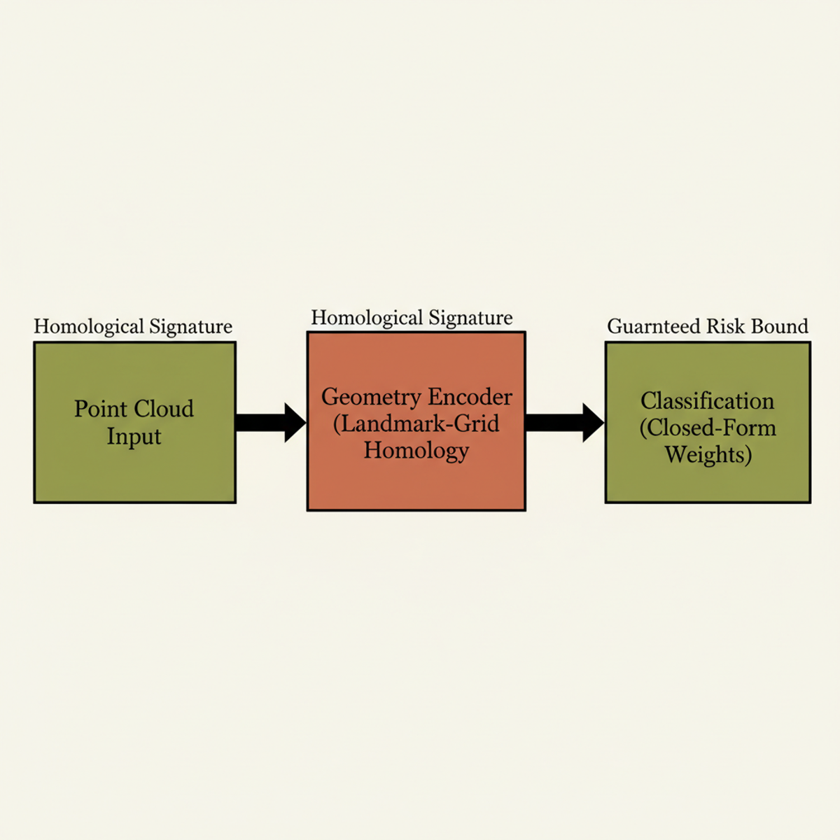 PLACE pipeline: the geometry encoder (persistent homology via landmark grid) feeds into a closed-form classifier with formal risk guarantees, decoupled by design.