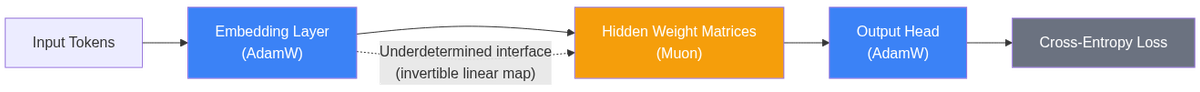 Muon/AdamW split: Muon on hidden weights, AdamW on embeddings and output head. The representation-readout interface is underdetermined — cross-entropy loss cannot anchor it to a unique solution.