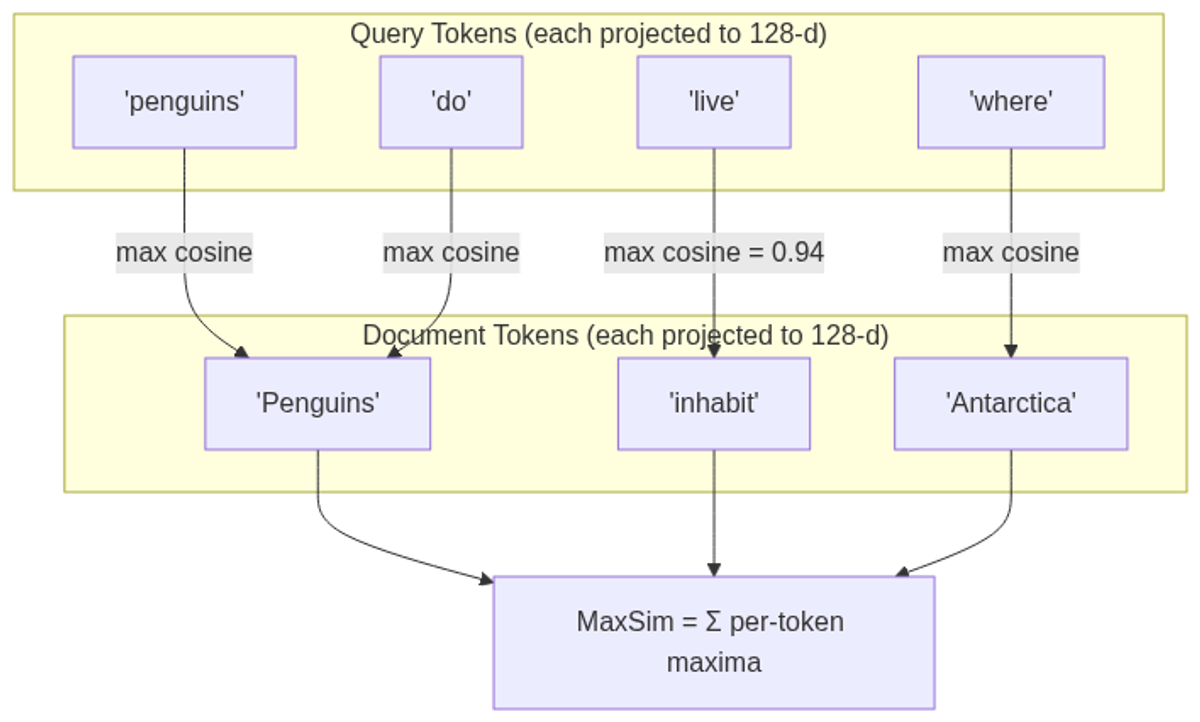 MaxSim scoring: each query token finds its highest cosine similarity against any document token; those maxima are summed into the final score
