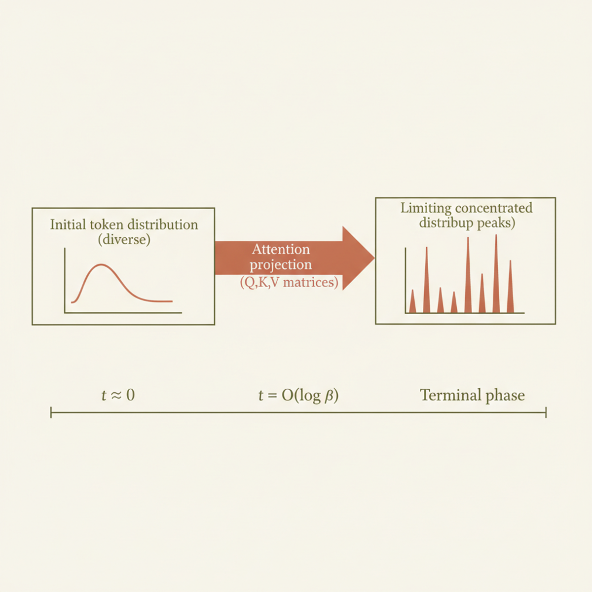 Transformer attention concentrates token distributions onto a limiting distribution over logarithmic time scales, driven by the projection map induced by attention matrices.