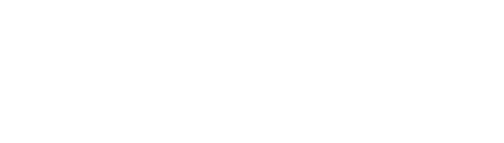 Dt. Berk Kaan Budak
