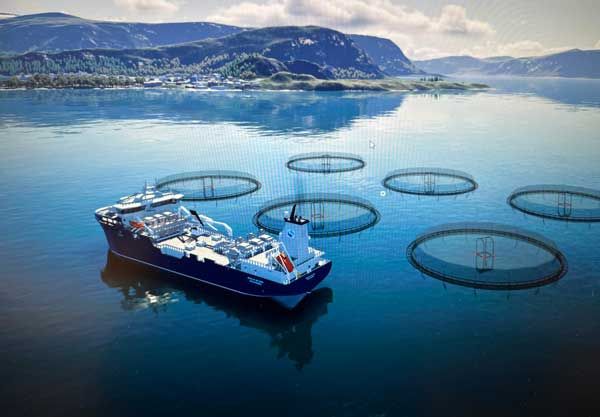 Nytt kurs: Brønnbåtoperasjoner for fiskevelferd ​​​​‌﻿‍﻿​‍​‍‌‍﻿﻿‌﻿​‍‌‍‍‌‌‍‌﻿‌‍‍‌‌‍﻿‍​‍​‍​﻿‍‍​‍​‍‌﻿​﻿‌‍​‌‌‍﻿‍‌‍‍‌‌﻿‌​‌﻿‍‌​‍﻿‍‌‍‍‌‌‍﻿﻿​‍​‍​‍﻿​​‍​‍‌‍‍​‌﻿​‍‌‍‌‌‌‍‌‍​‍​‍​﻿‍‍​‍​‍‌‍‍​‌﻿‌​‌﻿‌​‌﻿​​‌﻿​﻿​﻿‍‍​‍﻿﻿​‍﻿﻿‌‍﻿﻿‌‍​﻿‌‍‌‌‌‍​‌‌‍﻿‍‌﻿‌​‌﻿​‍‌‍​‌‌‍‍‌‌‍﻿‍‌‍‍‌‌‍﻿‍‌‍‌﻿​‍﻿‍‌﻿​﻿‌‍​‌‌‍﻿‍‌‍‍‌‌﻿‌​‌﻿‍‌​‍﻿‍‌﻿​﻿‌﻿‌​‌﻿‌‌‌‍‌​‌‍‍‌‌‍﻿﻿​‍﻿﻿‌‍‍‌‌‍﻿‍‌﻿‌​‌‍‌‌‌‍﻿‍‌﻿‌​​‍﻿﻿‌‍‌‌‌‍‌​‌‍‍‌‌﻿‌​​‍﻿﻿‌‍﻿‌‌‍﻿﻿‌‍‌​‌‍‌‌​﻿﻿‌‌﻿​​‌﻿​‍‌‍‌‌‌﻿​﻿‌‍‌‌‌‍﻿‍‌﻿‌​‌‍​‌‌﻿‌​‌‍‍‌‌‍﻿﻿‌‍﻿‍​﻿‍﻿‌‍‍‌‌‍‌​​﻿﻿‌​﻿‌﻿​﻿‌​​﻿‍​​﻿​‌​﻿‌‌‌‍‌‌​﻿‌‌‌‍‌‌​‍﻿‌‌‍​‍​﻿‌‍‌‍‌​‌‍​‌​‍﻿‌​﻿‌​​﻿​‍​﻿‌‍​﻿‌‌​‍﻿‌‌‍​‌​﻿‌‌​﻿‌﻿​﻿‌‌​‍﻿‌​﻿​‍‌‍‌‌‌‍​‌‌‍‌‍​﻿​‌‌‍​‌‌‍​‍​﻿​‌​﻿‌​​﻿​‍‌‍​﻿​﻿‍​​﻿‍﻿‌﻿‌​‌﻿‍‌‌﻿​​‌‍‌‌​﻿﻿‌‌‍​‌‌﻿​‍‌﻿‌​‌‍‍‌‌‍​﻿‌‍﻿​‌‍‌‌​﻿‍﻿‌﻿​​‌‍​‌‌﻿‌​‌‍‍​​﻿﻿‌‌﻿‌​‌‍‍‌‌﻿‌​‌‍﻿​‌‍‌‌​﻿﻿﻿‌‍​‍‌‍​‌‌﻿​﻿‌‍‌‌‌‌‌‌‌﻿​‍‌‍﻿​​﻿﻿‌‌‍‍​‌﻿‌​‌﻿‌​‌﻿​​‌﻿​﻿​‍‌‌​﻿​﻿‌​​‌​‍‌‌​﻿​‍‌​‌‍​‍‌‌​﻿​‍‌​‌‍‌‍﻿﻿‌‍​﻿‌‍‌‌‌‍​‌‌‍﻿‍‌﻿‌​‌﻿​‍‌‍​‌‌‍‍‌‌‍﻿‍‌‍‍‌‌‍﻿‍‌‍‌﻿​‍﻿‍‌﻿​﻿‌‍​‌‌‍﻿‍‌‍‍‌‌﻿‌​‌﻿‍‌​‍﻿‍‌﻿​﻿‌﻿‌​‌﻿‌‌‌‍‌​‌‍‍‌‌‍﻿﻿​‍‌‍‌‍‍‌‌‍‌​​﻿﻿‌​﻿‌﻿​﻿‌​​﻿‍​​﻿​‌​﻿‌‌‌‍‌‌​﻿‌‌‌‍‌‌​‍﻿‌‌‍​‍​﻿‌‍‌‍‌​‌‍​‌​‍﻿‌​﻿‌​​﻿​‍​﻿‌‍​﻿‌‌​‍﻿‌‌‍​‌​﻿‌‌​﻿‌﻿​﻿‌‌​‍﻿‌​﻿​‍‌‍‌‌‌‍​‌‌‍‌‍​﻿​‌‌‍​‌‌‍​‍​﻿​‌​﻿‌​​﻿​‍‌‍​﻿​﻿‍​​‍‌‍‌﻿‌​‌﻿‍‌‌﻿​​‌‍‌‌​﻿﻿‌‌‍​‌‌﻿​‍‌﻿‌​‌‍‍‌‌‍​﻿‌‍﻿​‌‍‌‌​‍‌‍‌﻿​​‌‍​‌‌﻿‌​‌‍‍​​﻿﻿‌‌﻿‌​‌‍‍‌‌﻿‌​‌‍﻿​‌‍‌‌​‍​‍‌﻿﻿‌