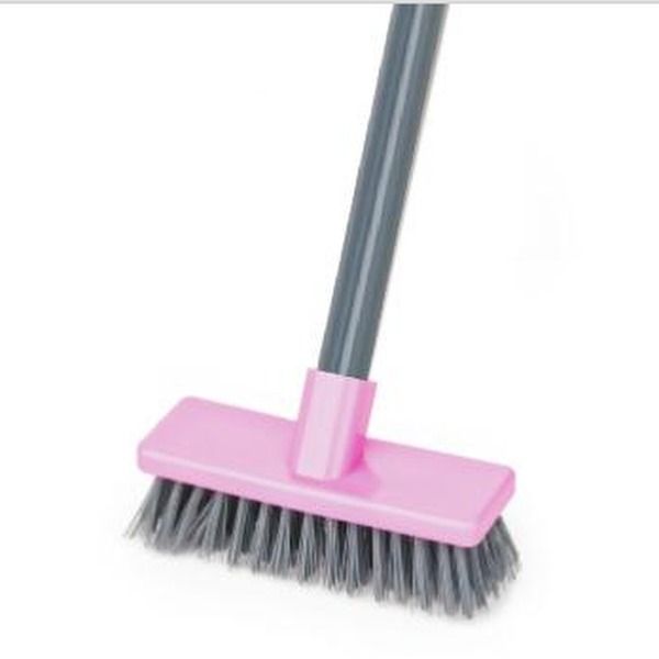Mini hardy broom