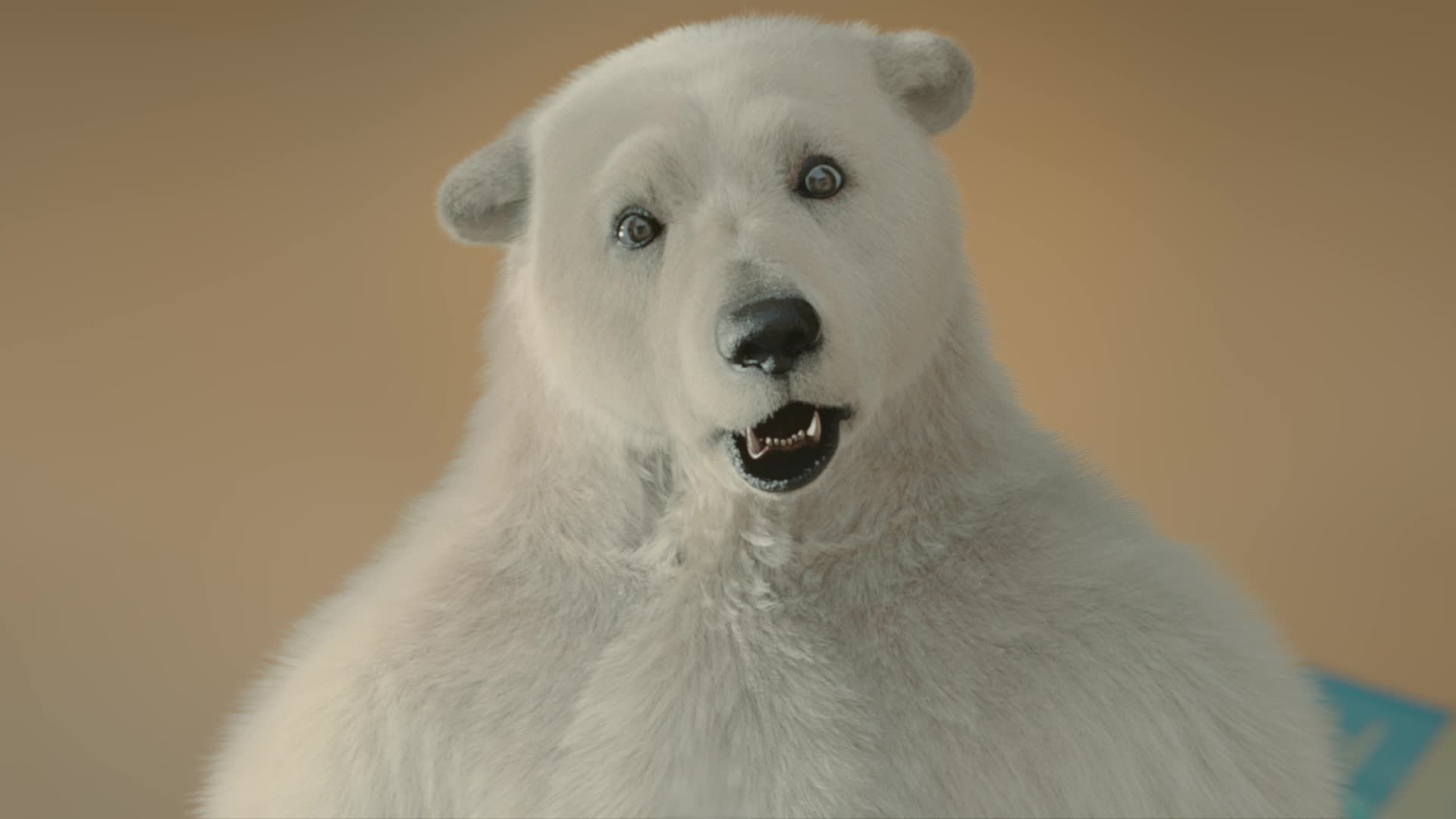 Polar Bear