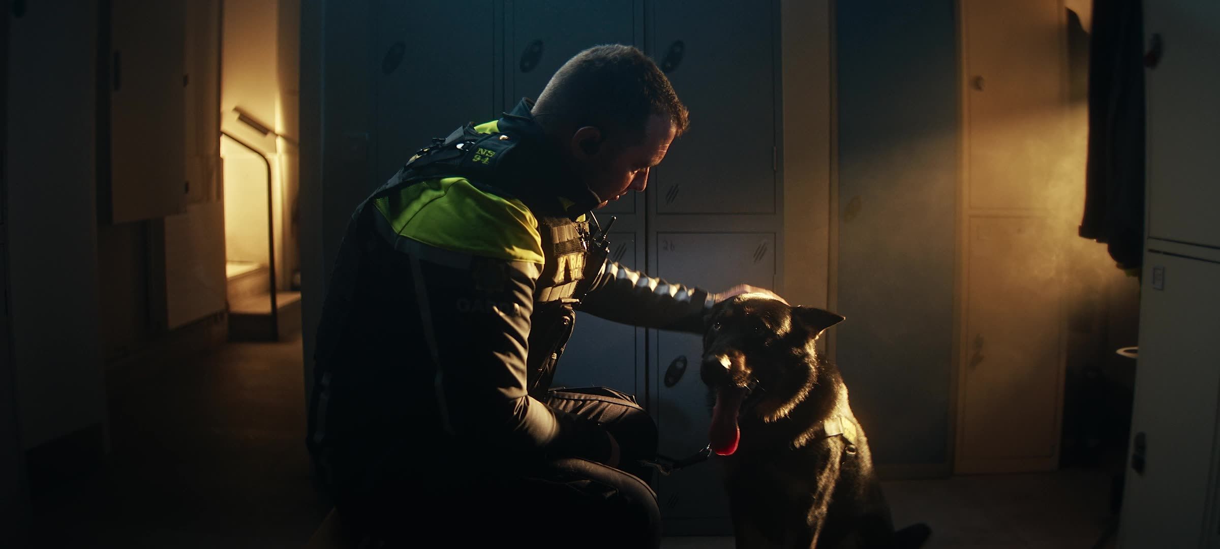 A Job Worth Doing | K9