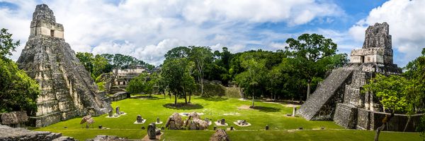 Tikal: Pyramiden über dem Blätterdach