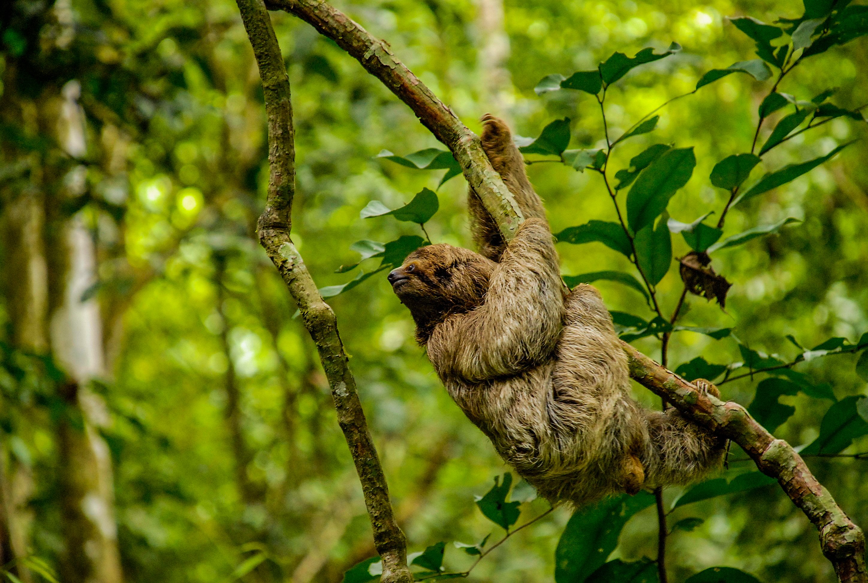 Costa Rica: Die Expedition der Biodiversiät