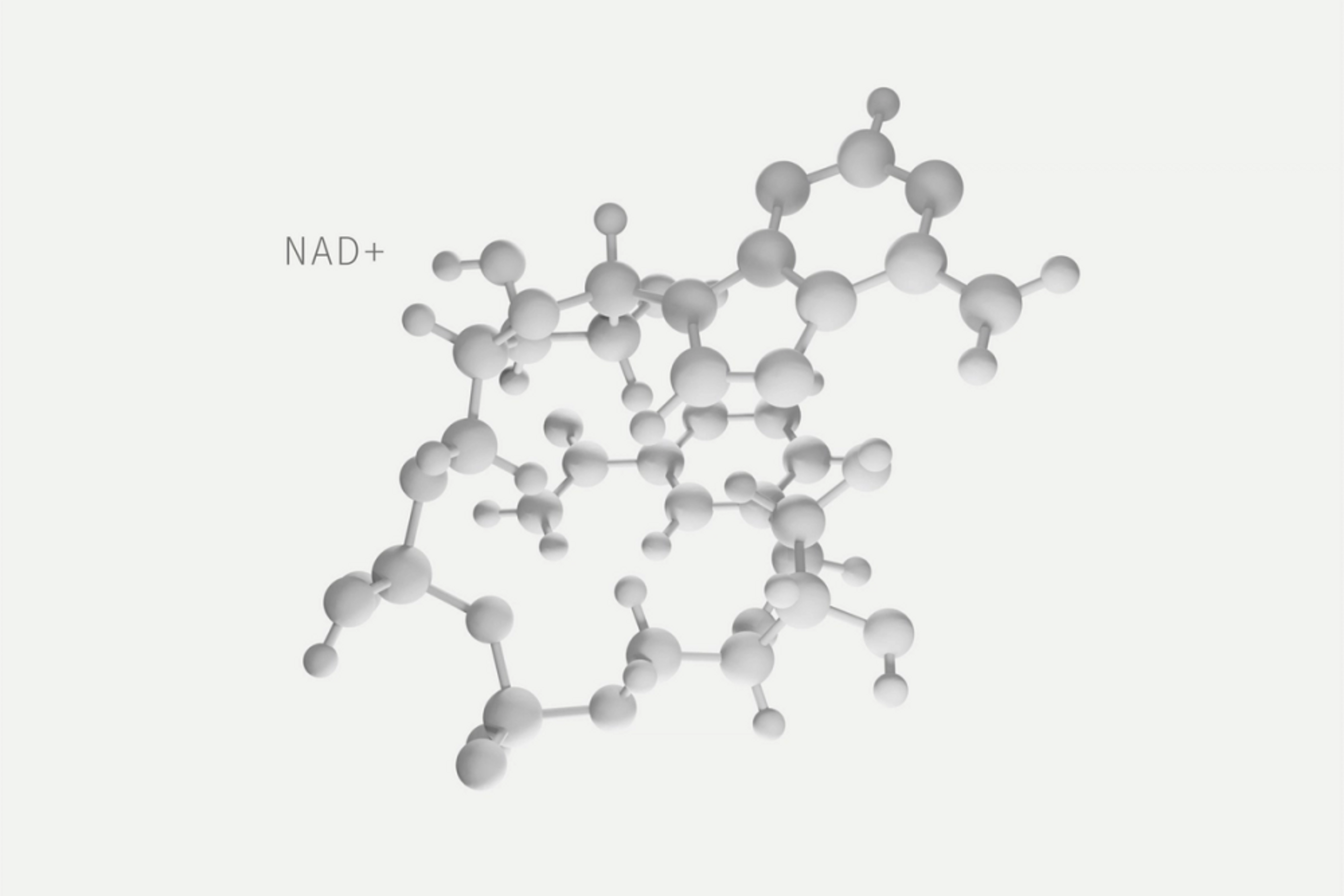 NAD+ molecule structure