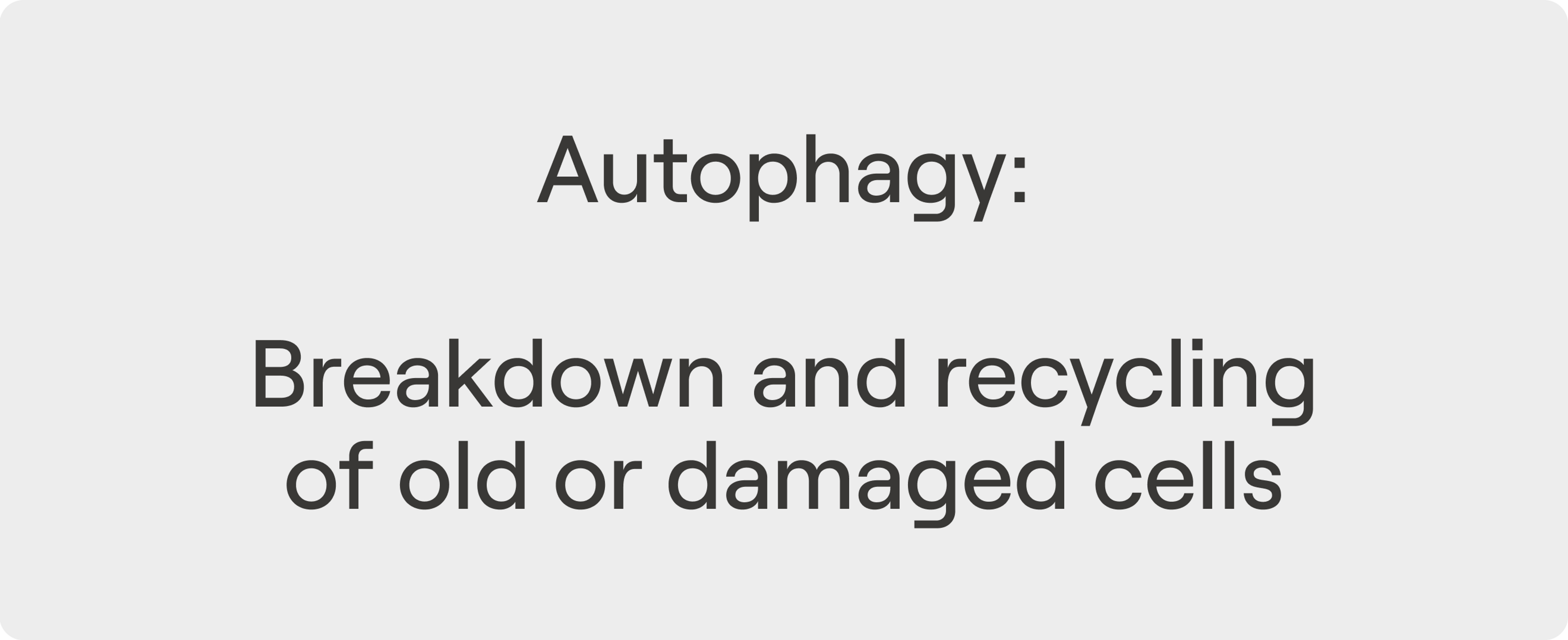 Autophagy - Definition