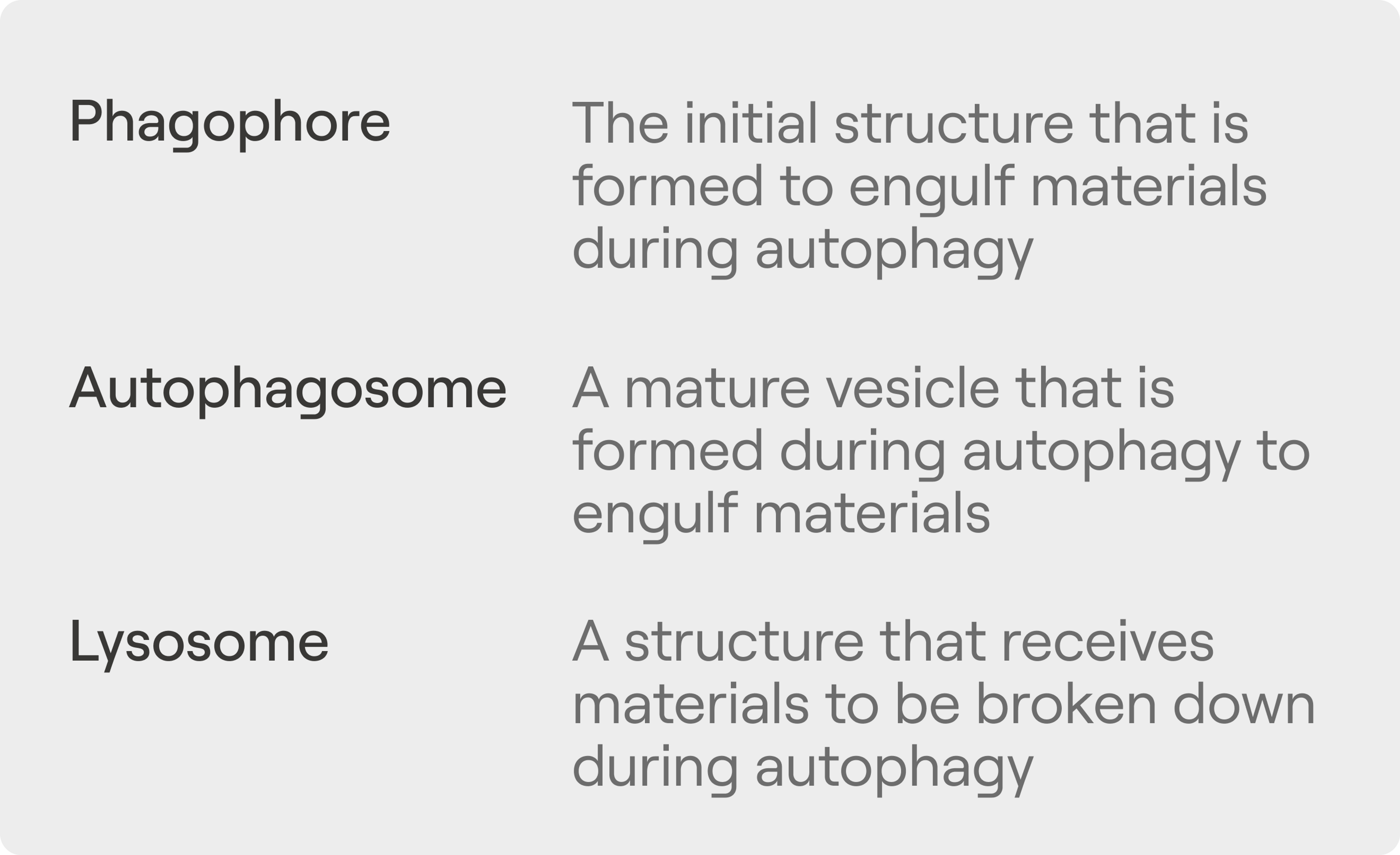 Autophagy Definitions - Phragophore, autophagosome, lysosome