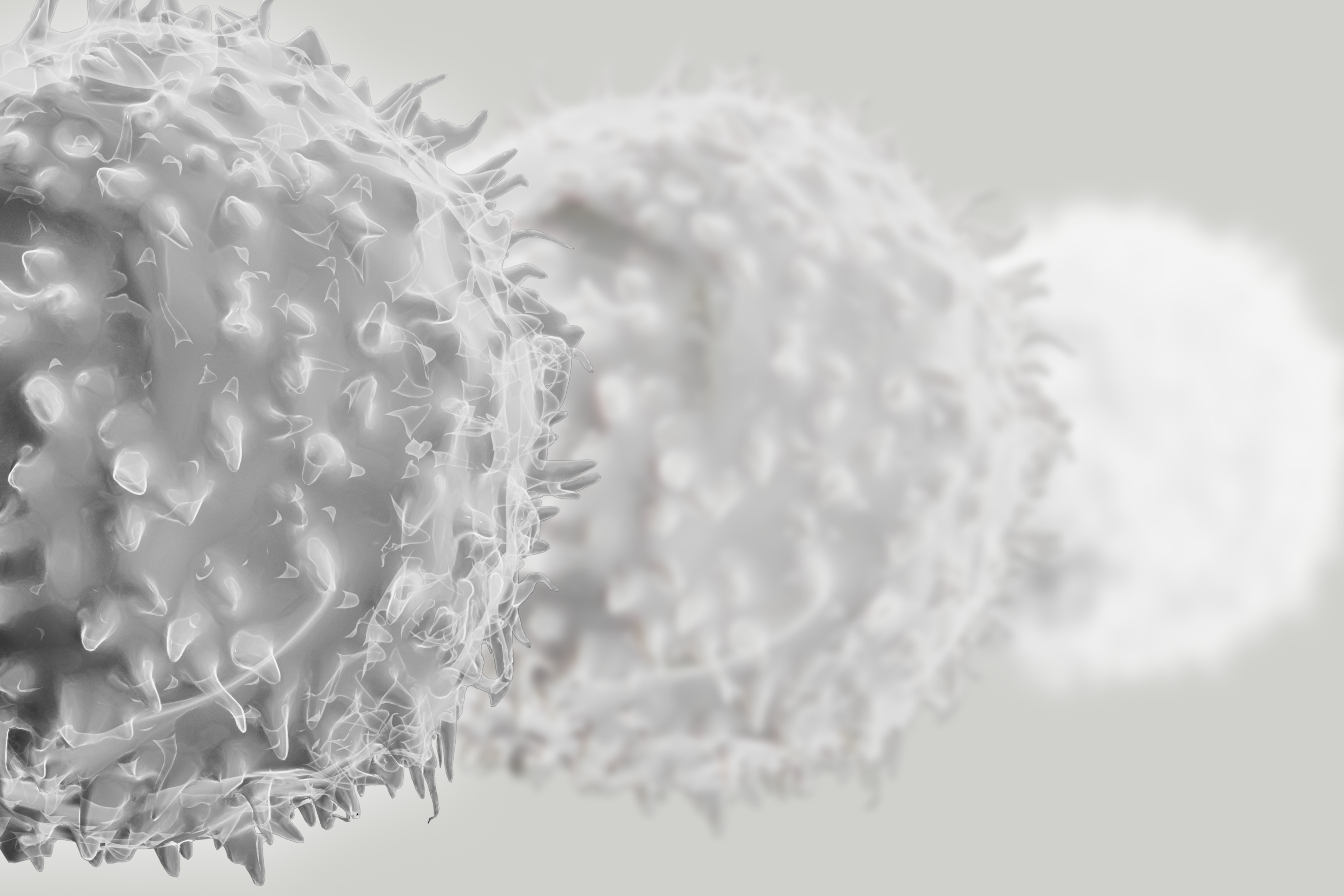T-Cells symbolizing inmune aging