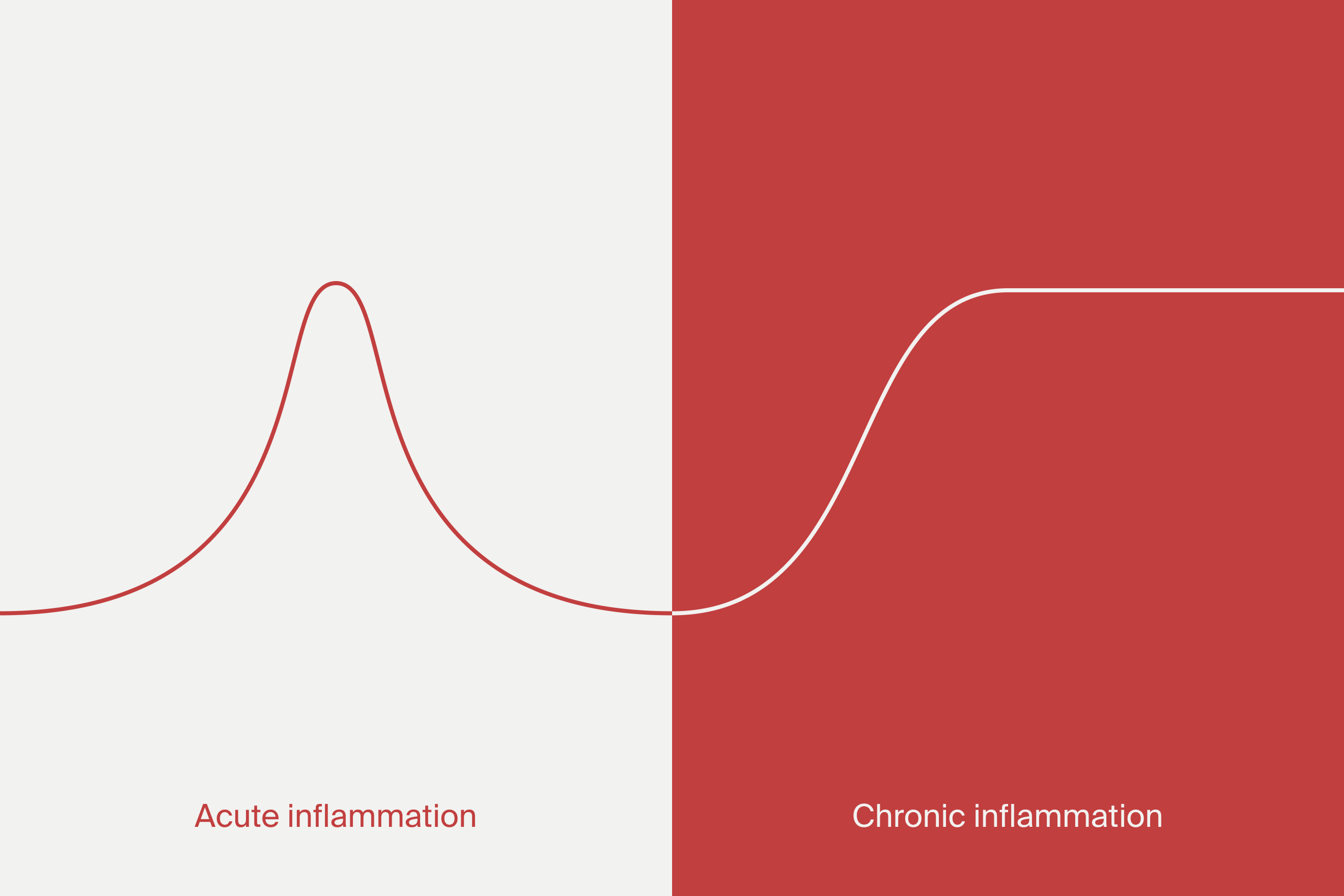 Acute inflammation versus chronic inflammation