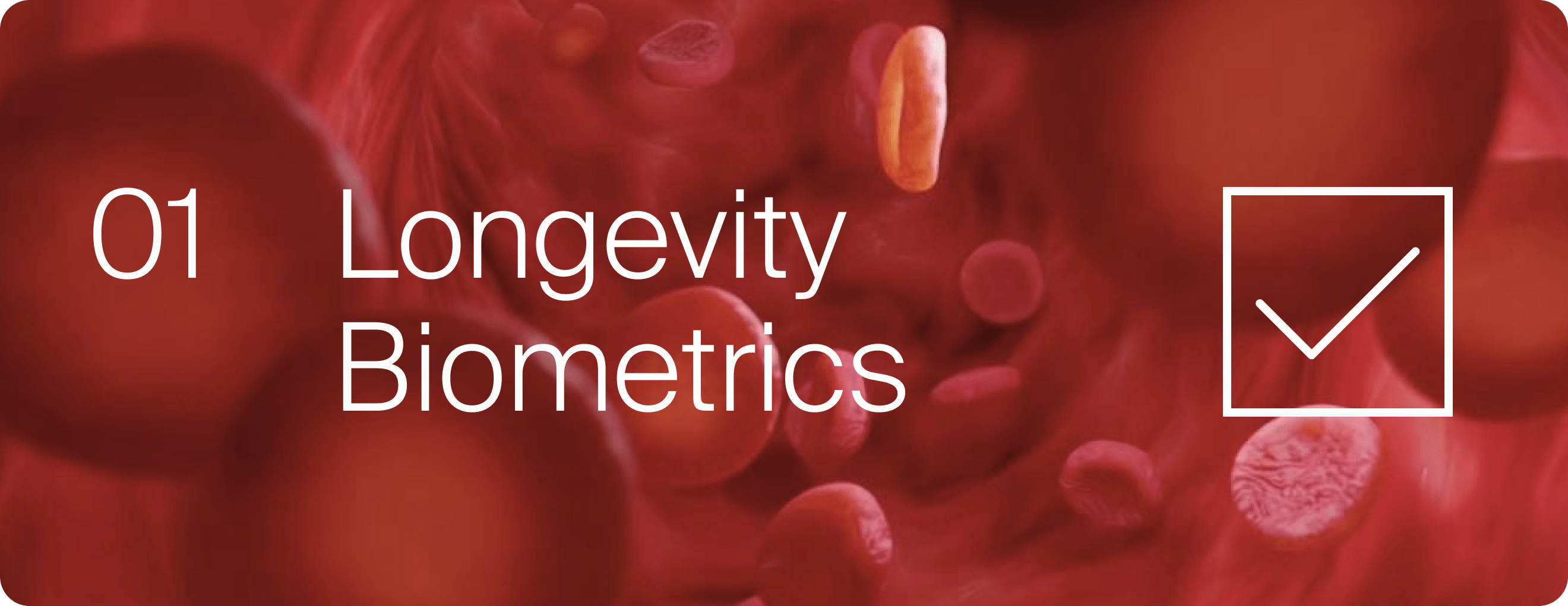 Blood Flow. Longevity Biometrics.