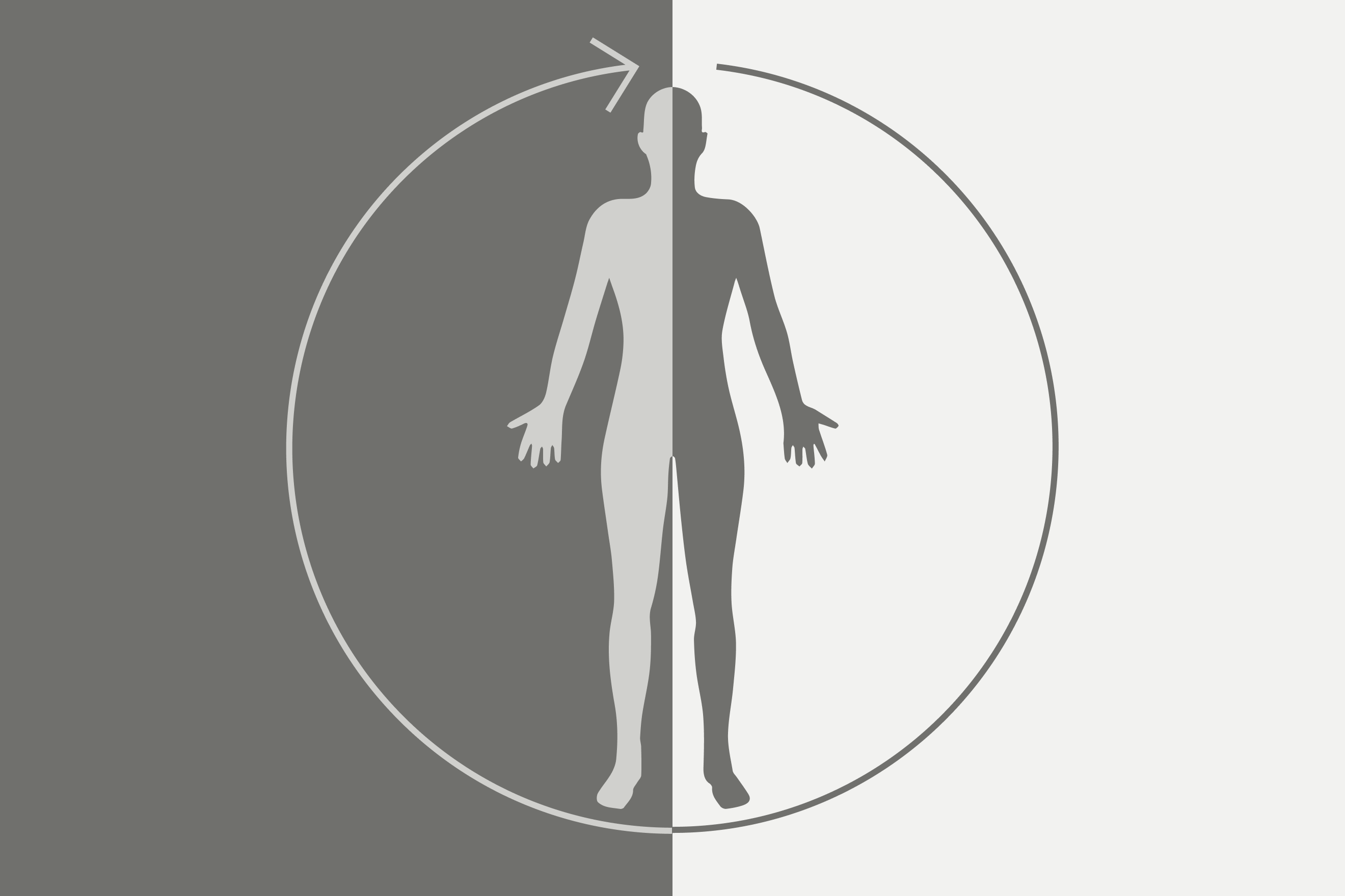 Illustration of the circadian rhythm