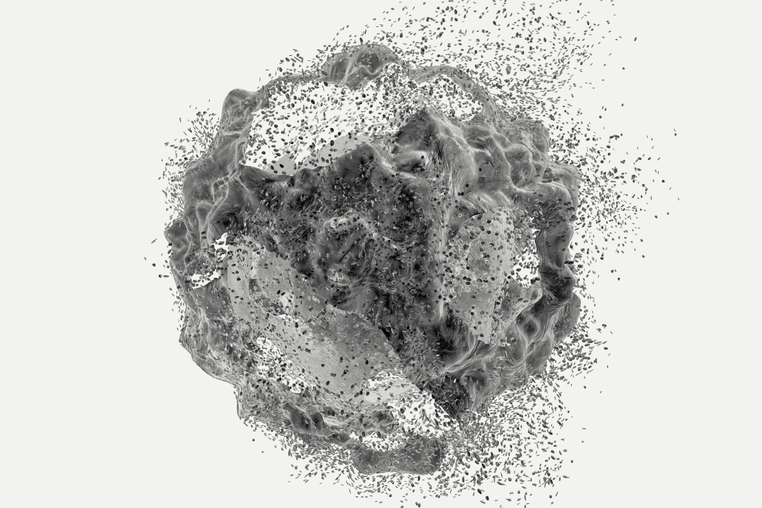 Autophagy