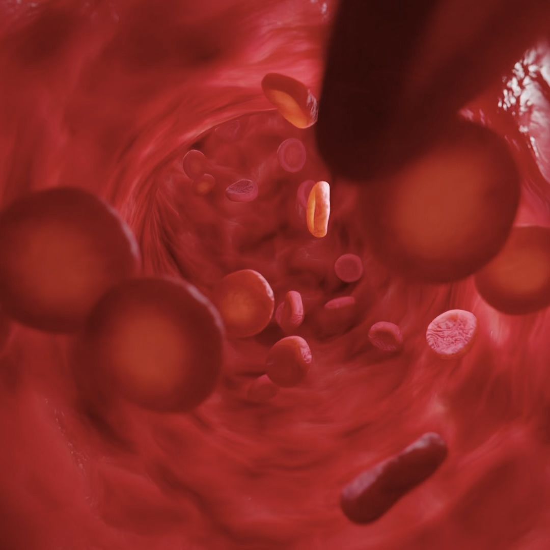 Cells