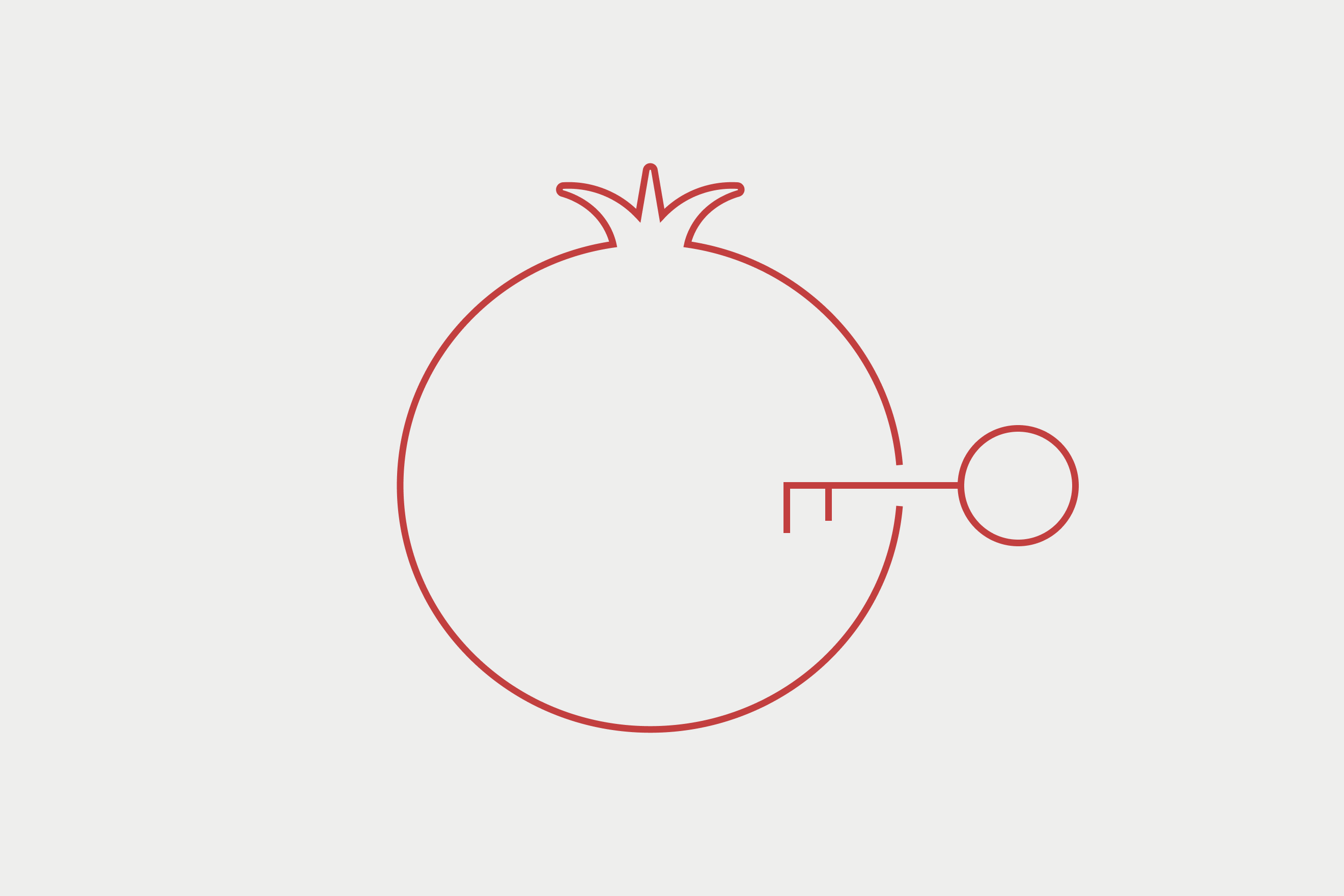Illustration of a pomegranate with a key