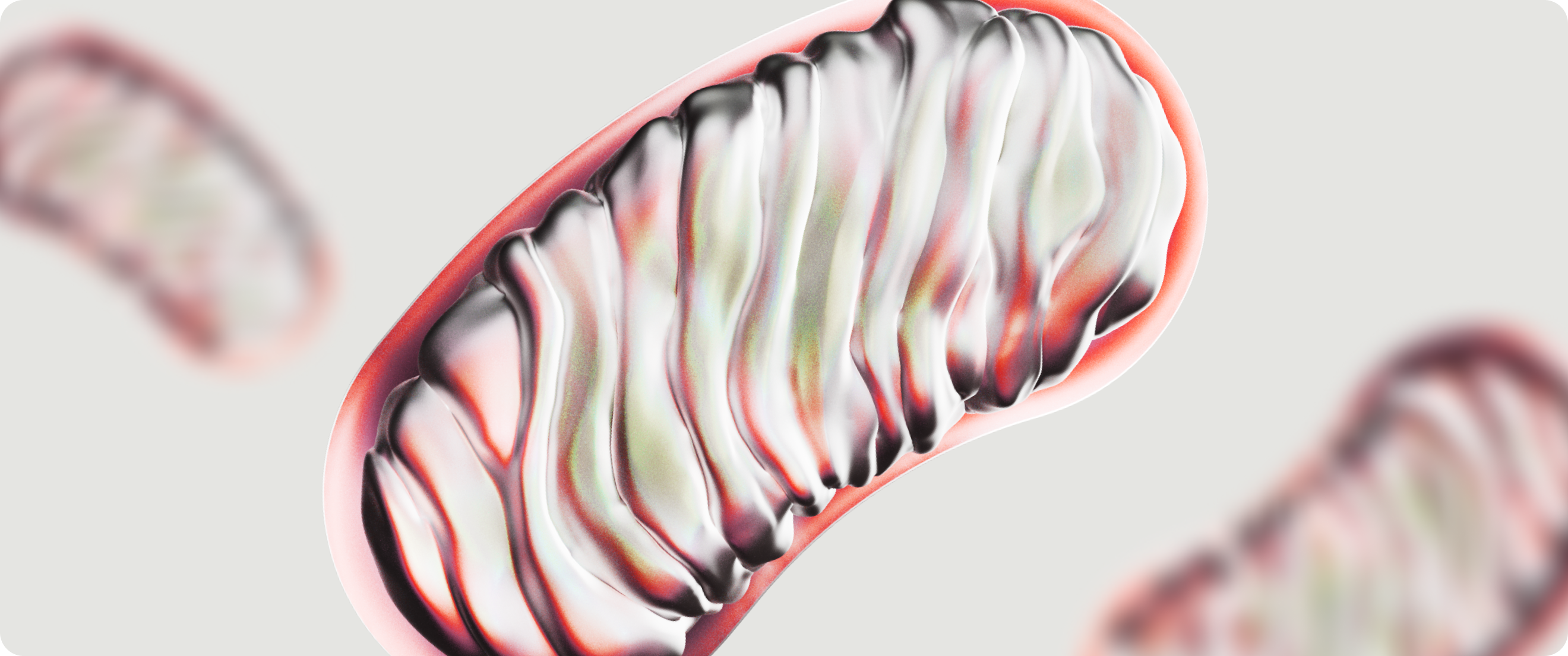 Mitochondria