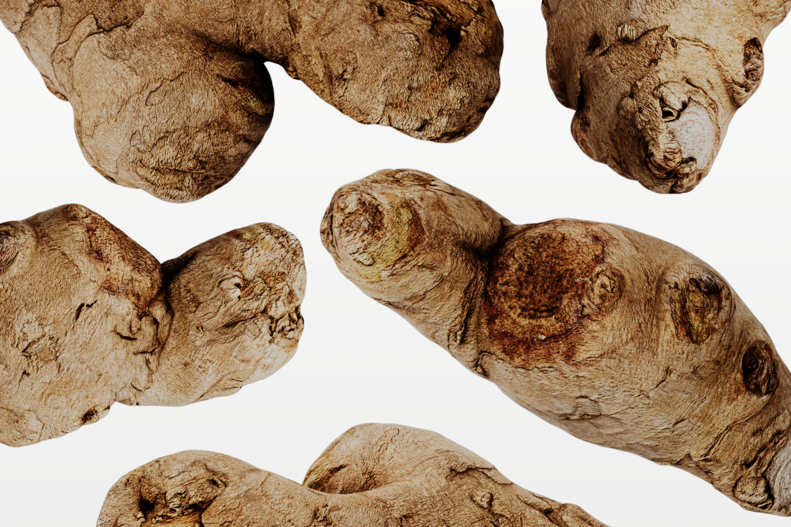 Ginger
