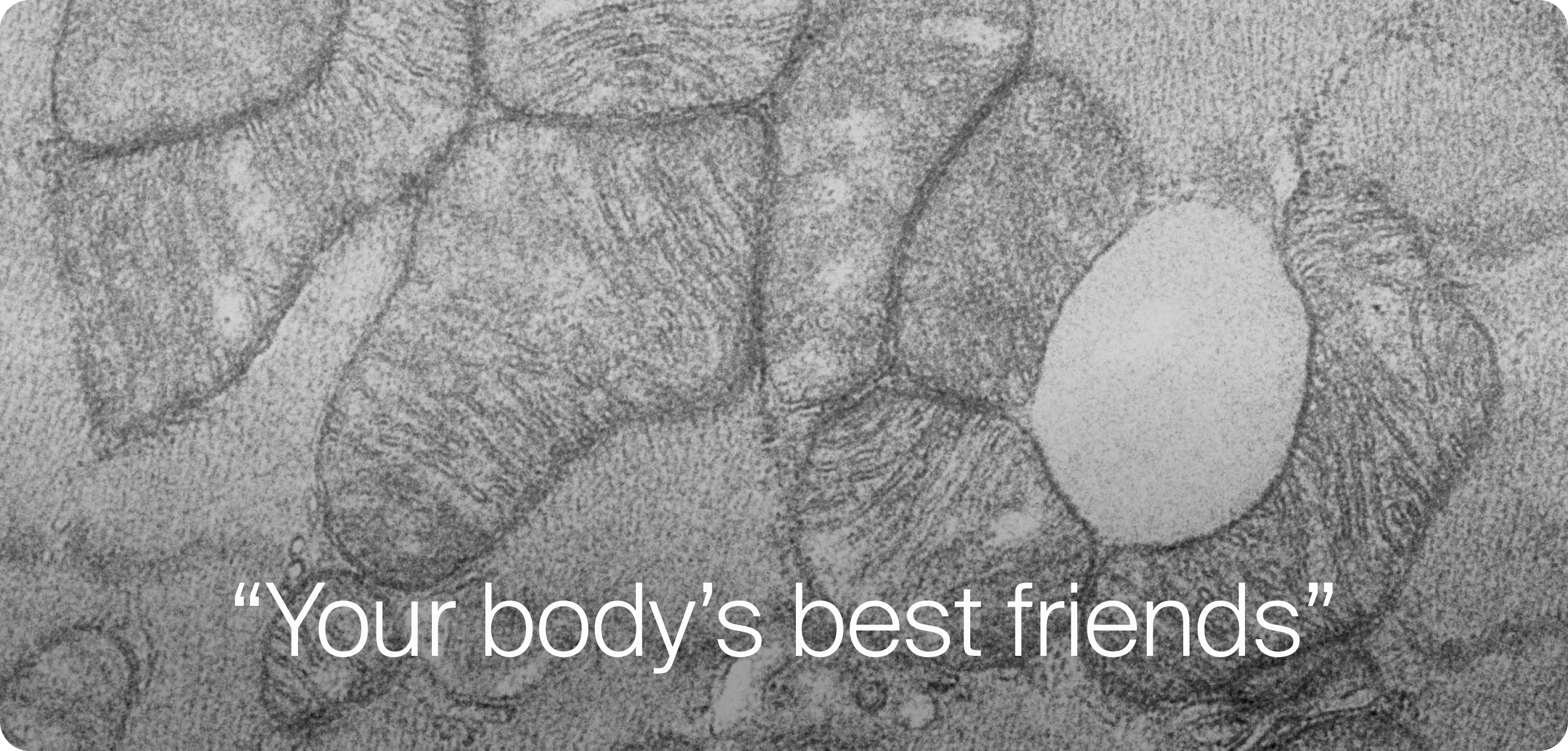 Your Body's best friend