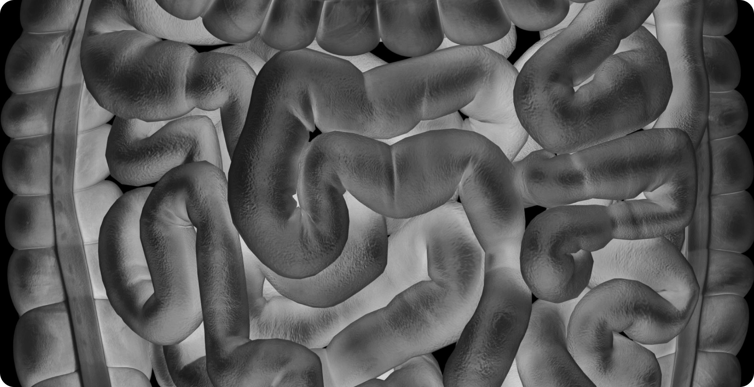 Gut Health