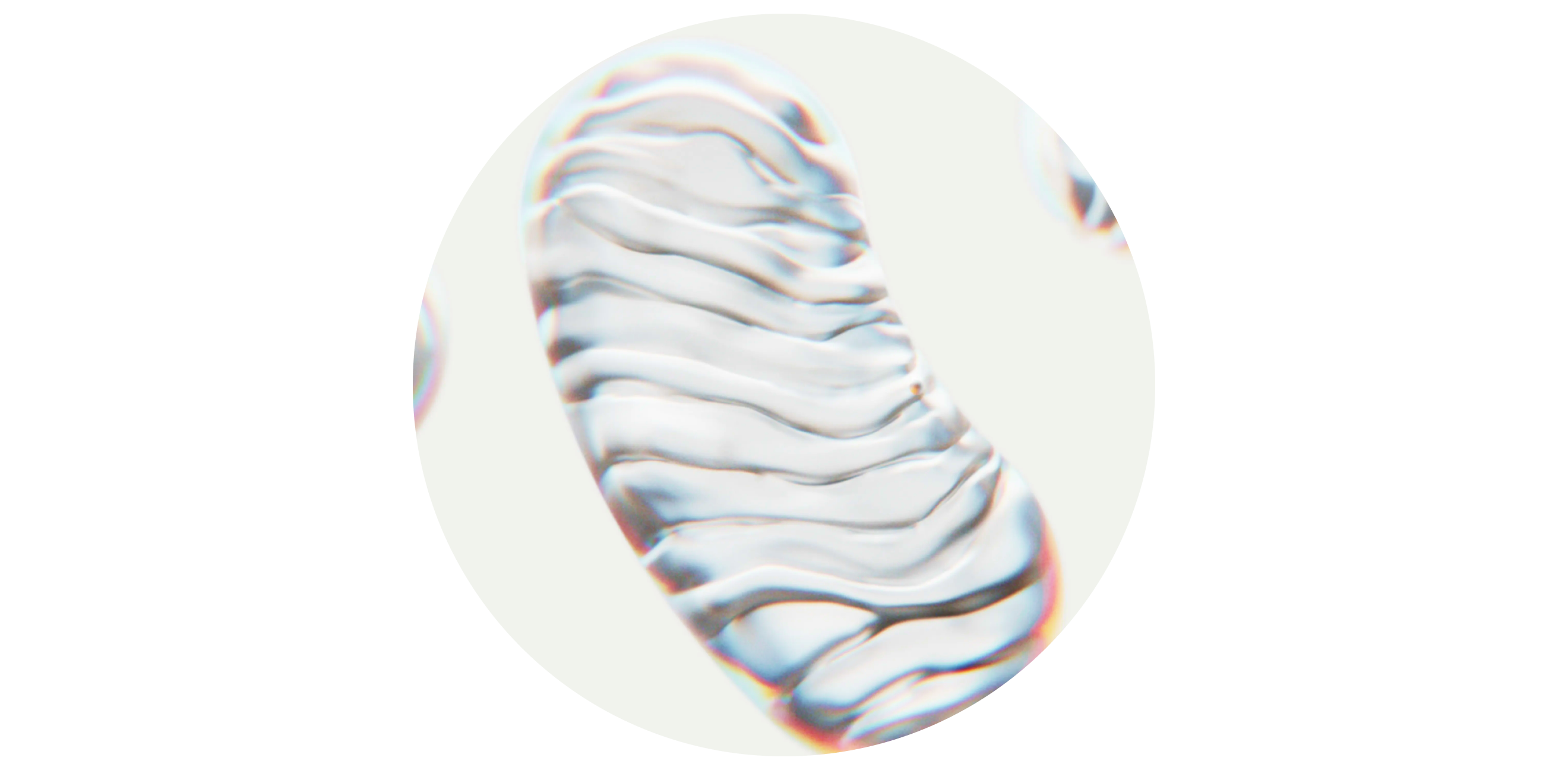 Mitochondrial Genesis