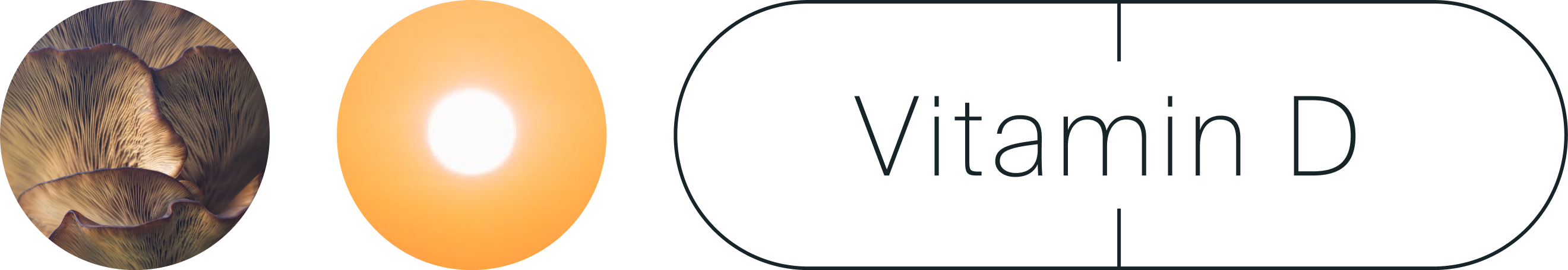 Vitamin D