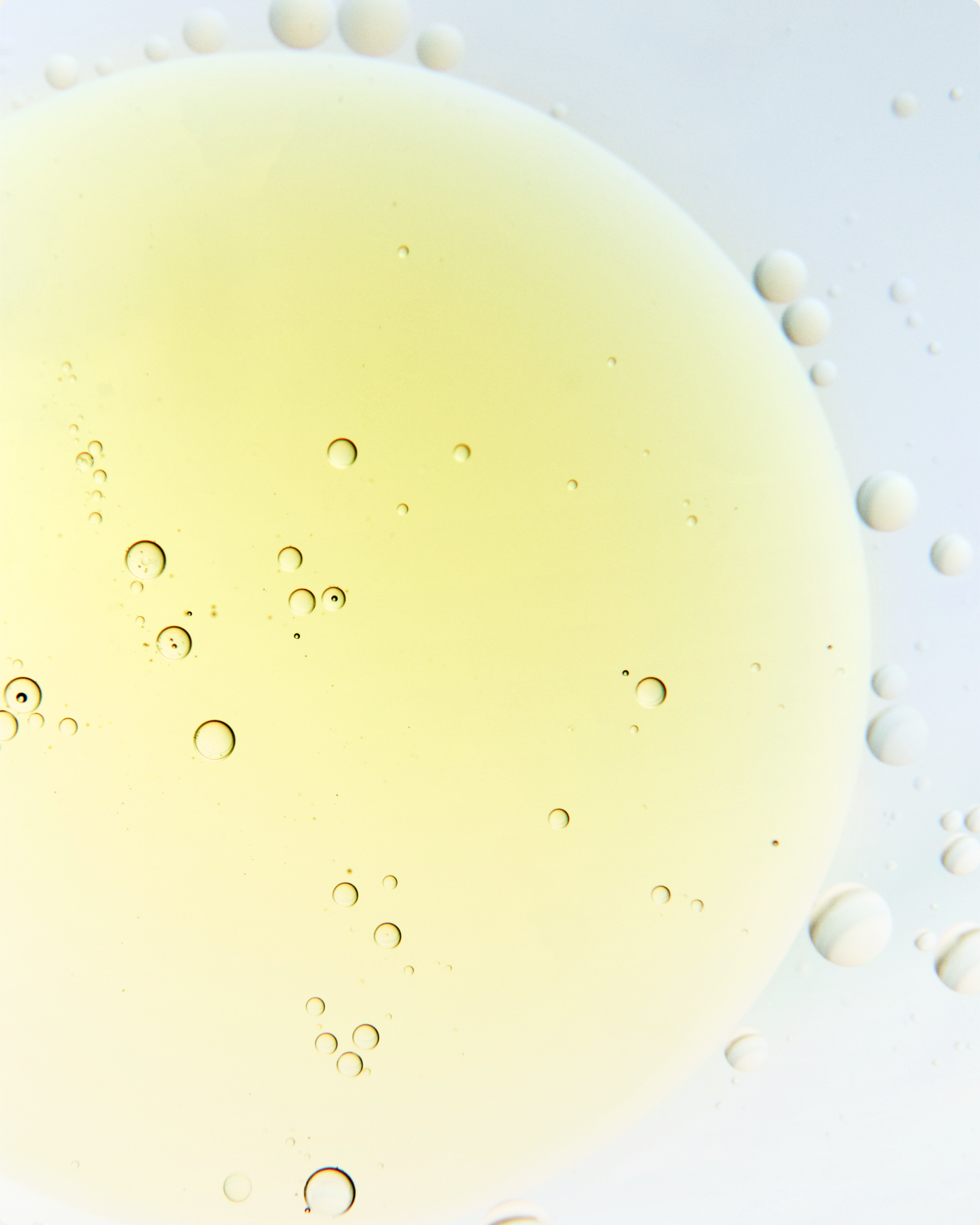 Lactic Acid ingredient