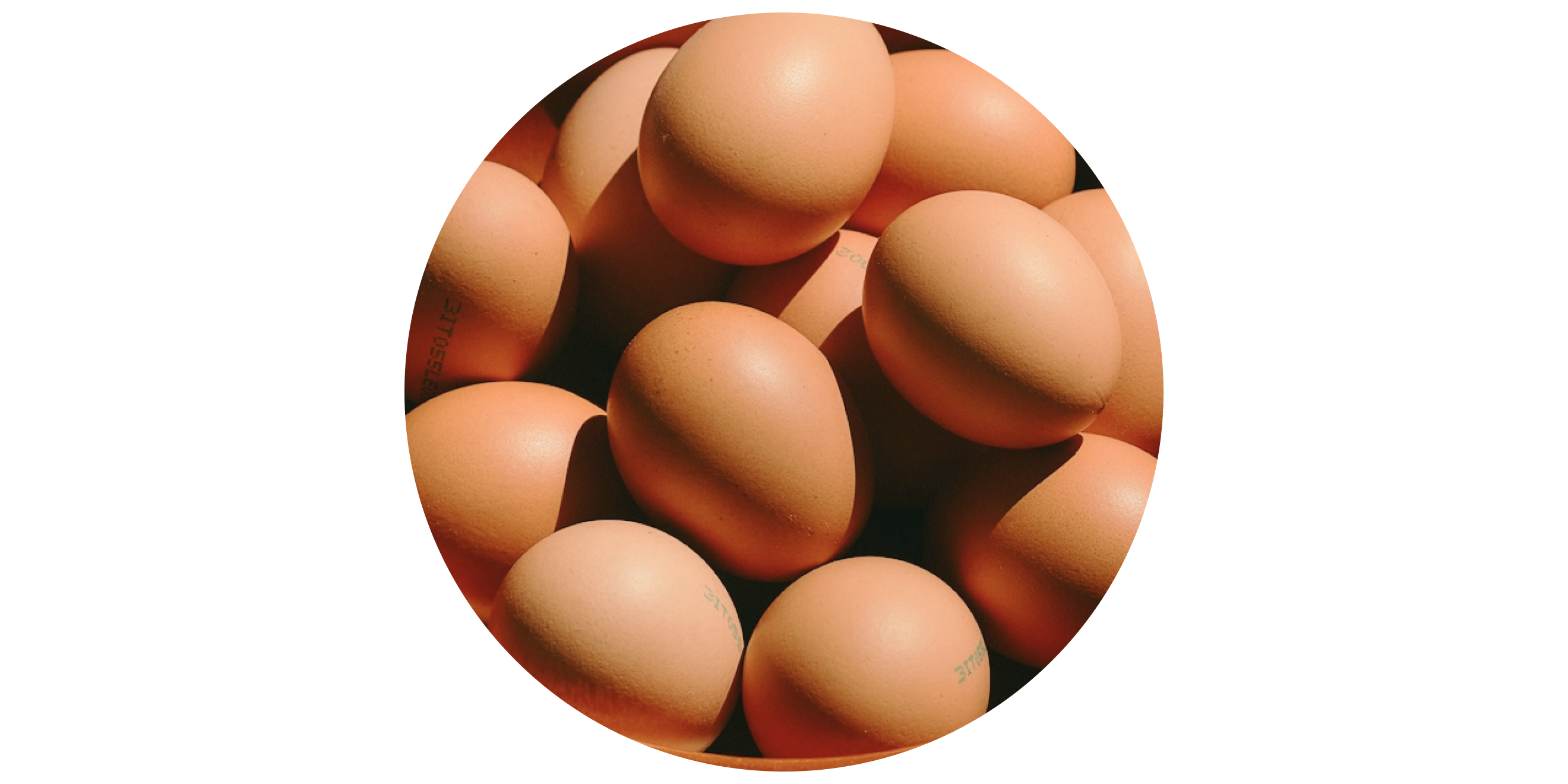Keto Diet